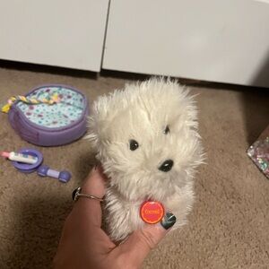 American Girl Coconut Dog
